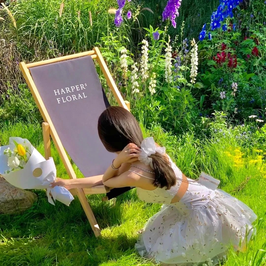 伯特·克赖舍：今夜来狂欢